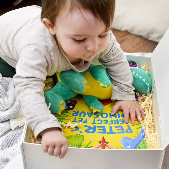 Perfect Pet Dinosaur Personalised Book & Plush Toy Gift Set