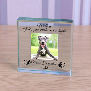 Personalised Glass Pet Memorial Token Never Forgotten