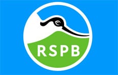RSPB Activities