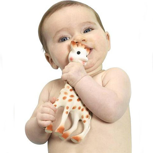 Baby Teething Tips | Born Gifted
