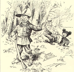 Teddy Cartoon