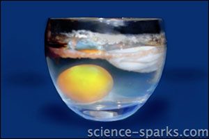 Eggy Science Experiments