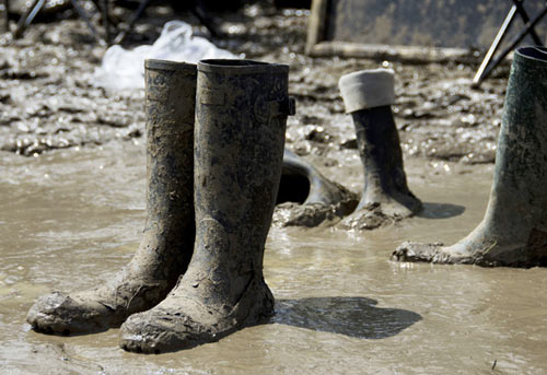 Wellie Boots