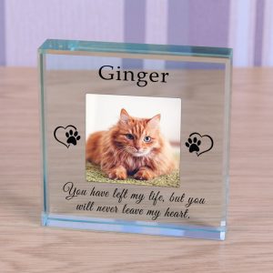 Personalised Glass Pet Memorial Token Never Leave My Heart