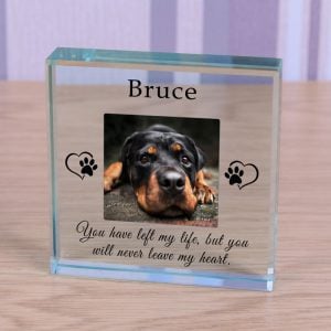 Personalised Glass Pet Memorial Token Never Leave My Heart