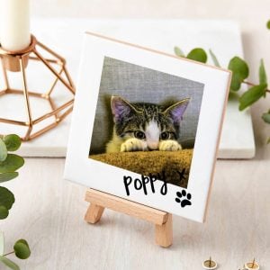 Personalised Cat Memorial Plaque Photo Upload Tile & Easel