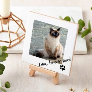 Personalised Cat Memorial Plaque Photo Upload Tile & Easel
