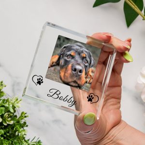 Pet Name Glass Photo Token