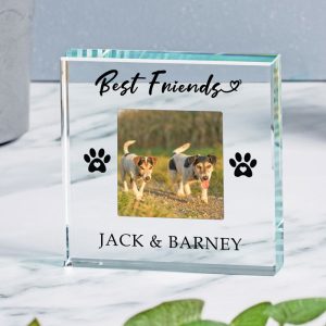 Personalised Pet Best Friends Glass Photo Token