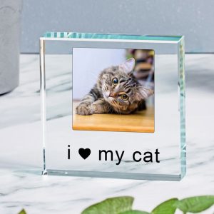 I or We Love Dog or Cat Glass Photo Token