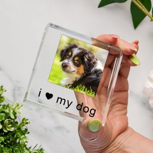 I or We Love Dog or Cat Glass Photo Token