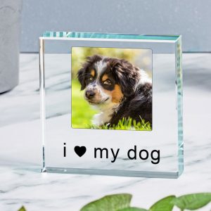 I or We Love Dog or Cat Glass Photo Token