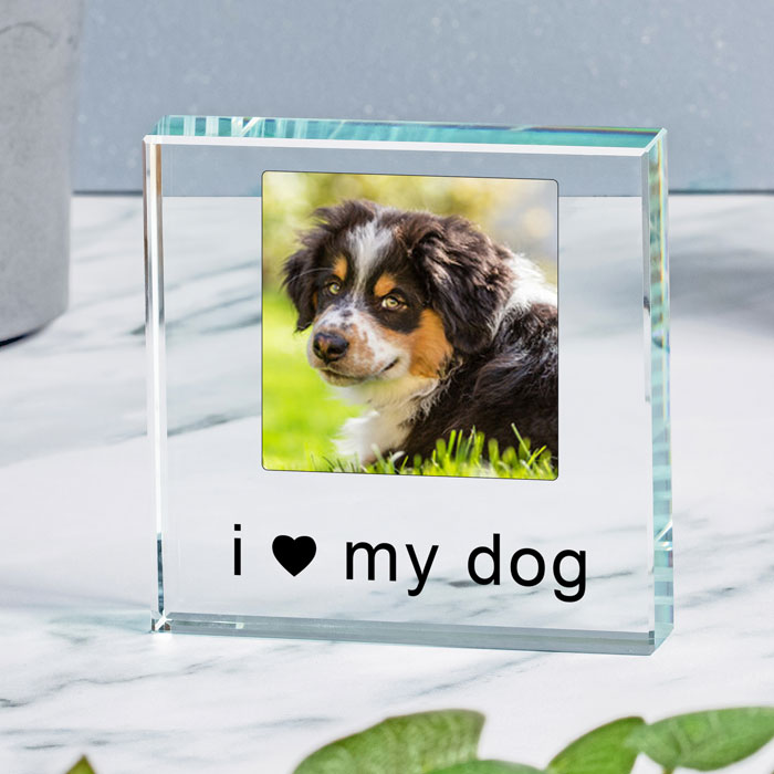 I or We Love Dog or Cat Glass Photo Token