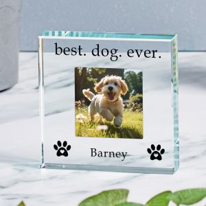 Personalised Best Dog Ever Glass Photo Upload Token