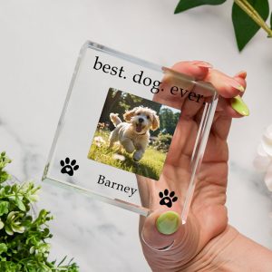 Personalised Best Dog Ever Glass Photo Upload Token