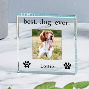 Personalised Best Dog Ever Glass Photo Upload Token