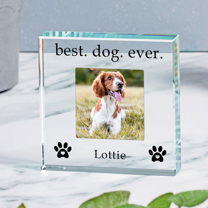 Personalised Best Dog Ever Glass Photo Upload Token