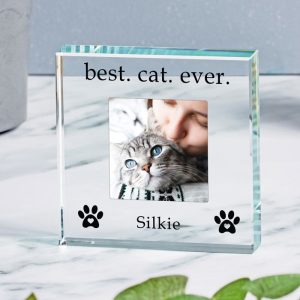 Best Cat Ever Personalised Glass Photo Upload Token