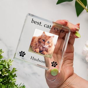 Best Cat Ever Personalised Glass Photo Upload Token