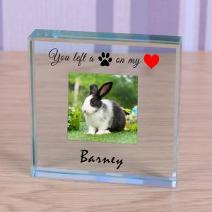 Personalised Glass Photo Pet Memorial Token Pawprint Heart