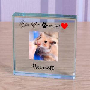 Personalised Glass Photo Pet Memorial Token Pawprint Heart