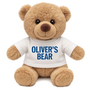 Personalised Boy's Teddy Bear in a Tee Shirt - Birthday Gift