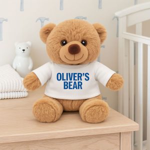 Personalised Boy's Teddy Bear in a Tee Shirt - Birthday Gift