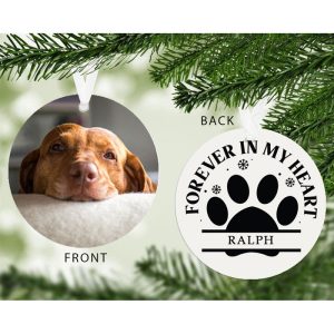 Forever in my Heart Photo Upload Pet Decoration Cat or Dog