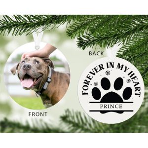 Forever in my Heart Photo Upload Pet Decoration Cat or Dog