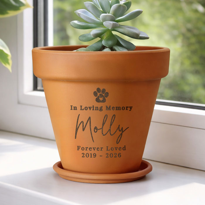 Personalised Pet Memorial Terracotta Plant Pot