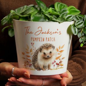 Personalised Hedgehog Large Ceramic Plant Pot