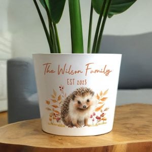 Personalised Hedgehog Large Ceramic Plant Pot
