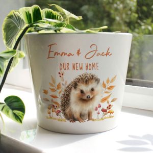 Personalised Hedgehog Large Ceramic Plant Pot