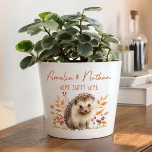 Personalised Hedgehog Large Ceramic Plant Pot