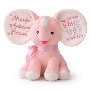Personalised Embroidered Baby Cubbies Pink Dumble Elephant