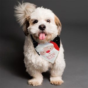 Personalised Santa Dog Bandana - Small or Medium Size