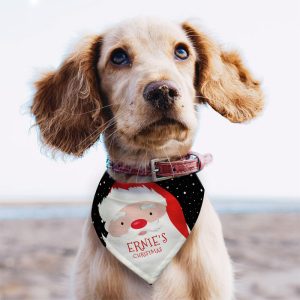 Personalised Santa Dog Bandana - Small or Medium Size