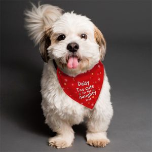 Personalised 'Too cute for the naughty list' Dog Bandana