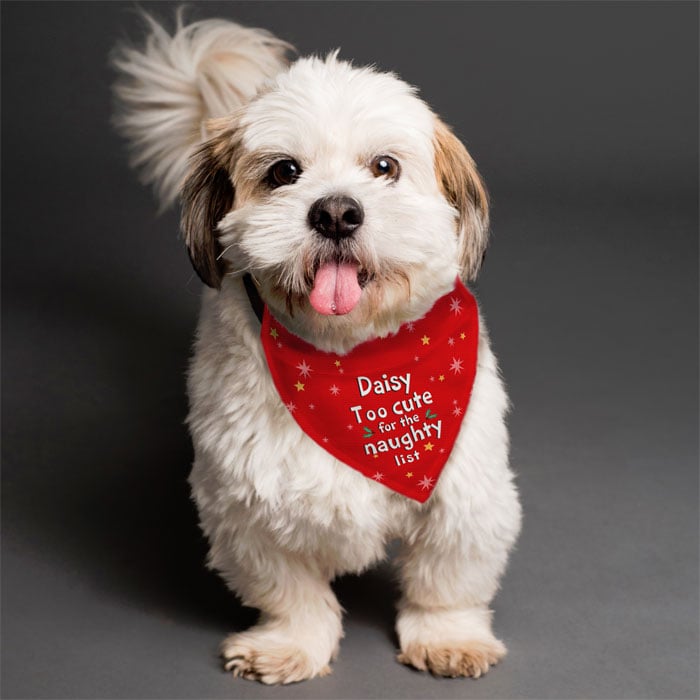 Personalised 'Too cute for the naughty list' Dog Bandana