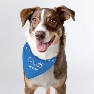 Personalised Prince Dog Blue Bandana