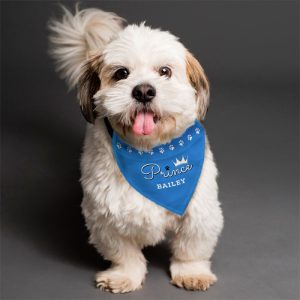 Personalised Prince Dog Blue Bandana