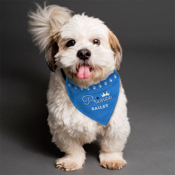 Personalised Prince Dog Blue Bandana