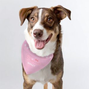 Personalised Princess Pink Dog Bandana