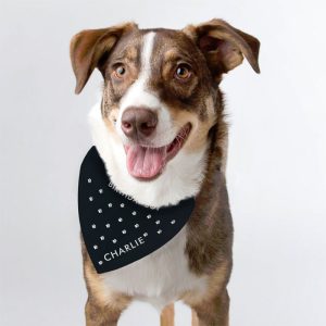 Personalised Black Paw Print Dog Bandana