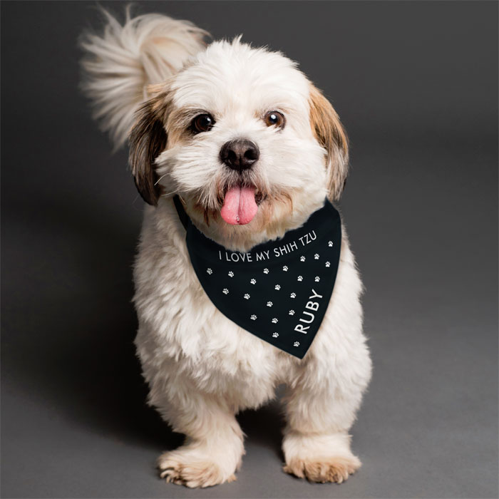 Personalised Black Paw Print Dog Bandana