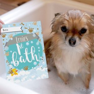 Personalised Puppy Milestone Moments Cards
