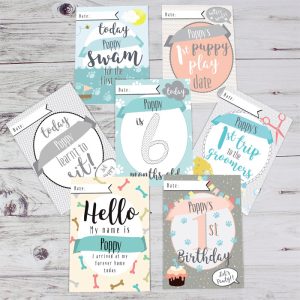Personalised Puppy Milestone Moments Cards