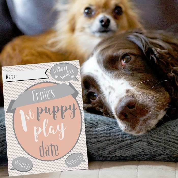 Personalised Puppy Milestone Moments Cards