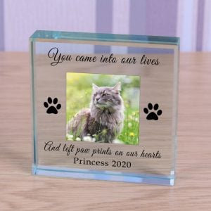 Personalised Pet Photo Memorial Glass Token