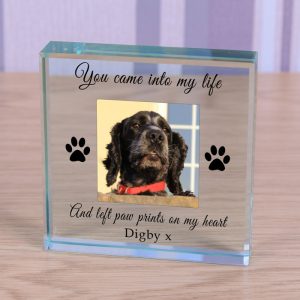 Personalised Pet Photo Memorial Glass Token